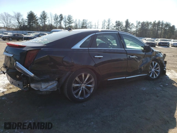 2014 Cadillac XTS with VIN 2G61L5S37E9146704, listed as a Copart auction lot 41498465 with 48,310 mi miles and Salvage Title. Bid and sale history available at carsss.com. Image 3.