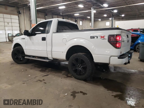 2013 Ford F-150 XL with VIN 1FTMF1EF6DFB52970, listed as a Copart auction lot 89300035 with 189,882 mi miles and Salvage Title. Bid and sale history available at DreamBid. Image 2.