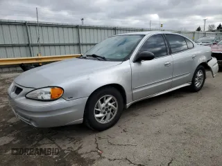 2004 Pontiac Grand Am SE1 with VIN 1G2NF52EX4C134565, listed as a Copart auction lot 43729485 with 110,485 mi miles and Clean Title. Bid and sale history available at carsss.com. Image 1.
