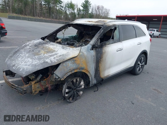 2017 Kia Sorento EX with VIN 5XYPHDA57HG271491, listed as a IAAI auction lot 42111594 with 79,556 mi miles and . Bid and sale history available at DreamBid. Image 16.