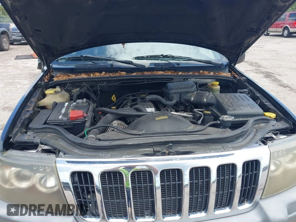 2002 Jeep Grand Cherokee Laredo with VIN 1J4GX48S22C226527, listed as a IAAI auction lot 42630457 with 197,333 mi miles and . Bid and sale history available at DreamBid. Image 10.