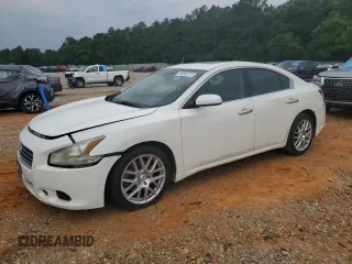 2010 Nissan Maxima SV with VIN 1N4AA5APXAC812146, listed as a Copart auction lot 56500715 with 193,201 mi miles and Salvage title. Bid and sale history available at DreamBid. Image 1.