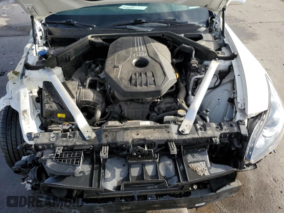 2018 Kia Stinger with VIN KNAE15LA7J6031374, listed as a Copart auction lot 46311994 with 120,722 mi miles and Salvage Title. Bid and sale history available at DreamBid. Image 11.