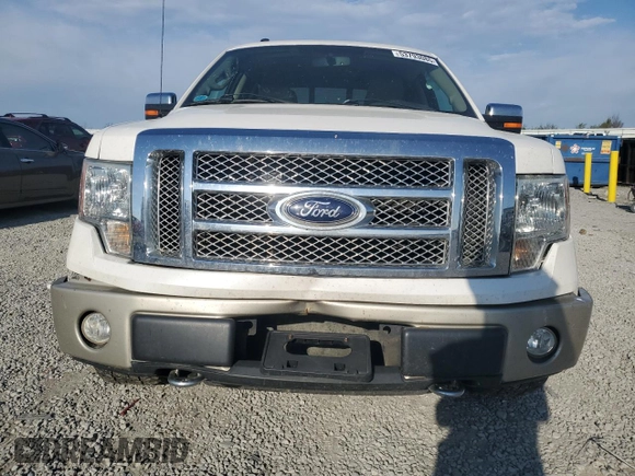 2010 Ford F-150 XL with VIN 1FTFW1EVXAFC09778, listed as a Copart auction lot 53793085 with 234,053 mi miles and Salvage title. Bid and sale history available at DreamBid. Image 5.