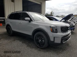 2024 Kia Telluride SX X-Line with VIN 5XYP5DGC0RG543458, listed as a Copart auction lot 81032644 with 18 mi miles and Salvage Title. Bid and sale history available at carsss.com. Image 4.