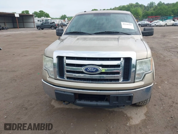 2011 Ford F-150 XL with VIN 1FTFX1ET0BFA88403, listed as a IAAI auction lot 42110763 with 185,801 mi miles. Bid and sale history available at carsss.com. Image 6.