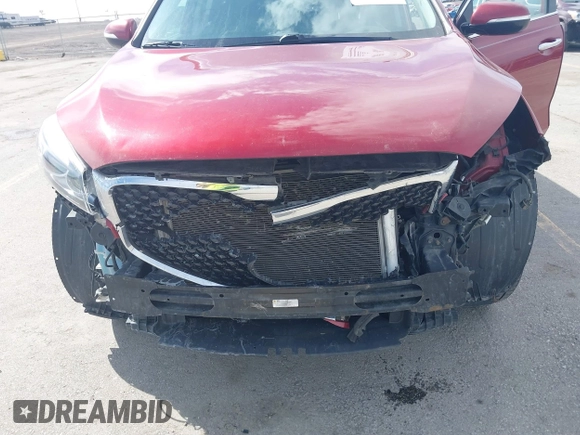 2016 Kia Sorento LX with VIN 5XYPGDA56GG174736, listed as a IAAI auction lot 41897778 with 162,512 mi miles and . Bid and sale history available at carsss.com. Image 6.
