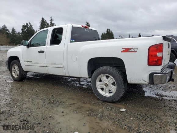 2013 Chevrolet Silverado 1500 LT with VIN 1GCRCSE00DZ272486, listed as a Copart auction lot 49567055 with 156,156 mi miles and Clean Title. Bid and sale history available at carsss.com. Image 2.