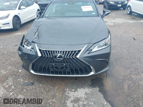 2022 Lexus ES 350 with VIN 58ADZ1B16NU125009, listed as a IAAI auction lot 42483683 with 14,082 mi miles and . Bid and sale history available at DreamBid. Image 12.