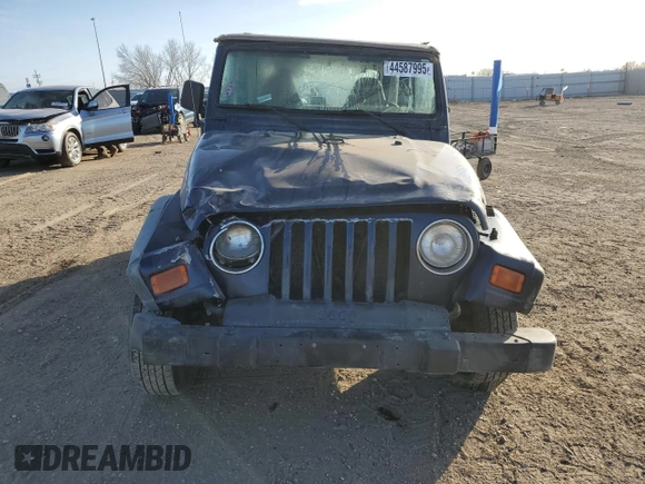 2002 Jeep Wrangler X with VIN 1J4FA39S42P750146, listed as a Copart auction lot 44587995 with 230,334 mi miles and Salvage Title. Bid and sale history available at carsss.com. Image 5.