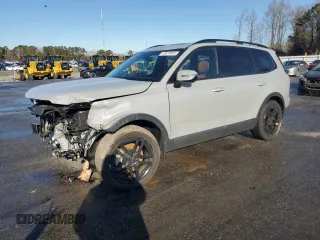 2023 Kia Telluride SX с VIN 5XYP5DGCXPG370562, выставлен на аукционе Copart как лот 42674955 с пробегом 22 591 миль миль и Списание • Salvage title. История ставок и продаж доступна на DreamBid. Изображение 1.