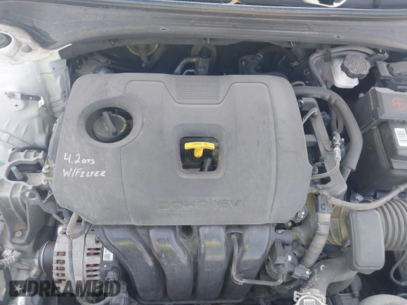 2019 Kia Forte S with VIN 3KPF34AD2KE028516, listed as a IAAI auction lot 41749001 with 233,472 mi miles. Bid and sale history available at carsss.com. Image 10.