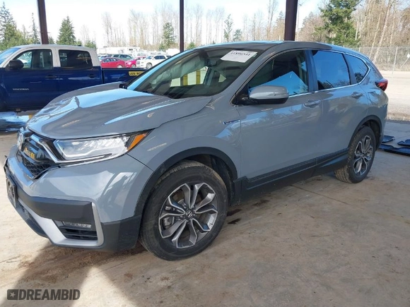 2022 Honda CR-V Hybrid EX-L with VIN 5J6RT6H88NL032688, listed as a IAAI auction lot 41896541 with 50,685 mi miles. Bid and sale history available at carsss.com. Image 2.