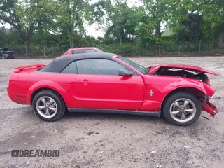 2006 Ford Mustang Standard with VIN 1ZVFT84N765107125, listed as a IAAI auction lot 42200660 with 164,920 mi miles and . Bid and sale history available at DreamBid. Image 14.