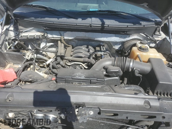 2012 Ford F-150 XL with VIN 1FTNF1CF7CKE25038, listed as a Copart auction lot 48406055 with Not provided miles and Salvage title. Bid and sale history available at DreamBid. Image 11.