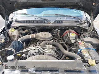 1999 Dodge Dakota SLT with VIN 1B7GG22YXXS229633, listed as a IAAI auction lot 42088939 with 148,049 mi miles and . Bid and sale history available at carsss.com. Image 10.