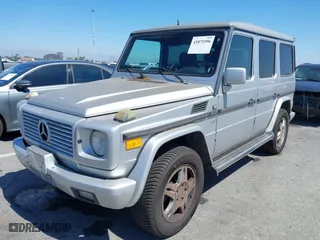 2002 Mercedes-Benz G-Class with VIN WDCYR49E02X129195, listed as a IAAI auction lot 41871996 with NaN miles. Bid and sale history available at carsss.com. Image 17.