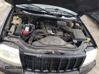 1999 Jeep Grand Cherokee Limited with VIN 1J4GW68SXXC713416, listed as a Copart auction lot 88296395 with 0 mi miles and Non Repairable. Bid and sale history available at carsss.com. Image 11.