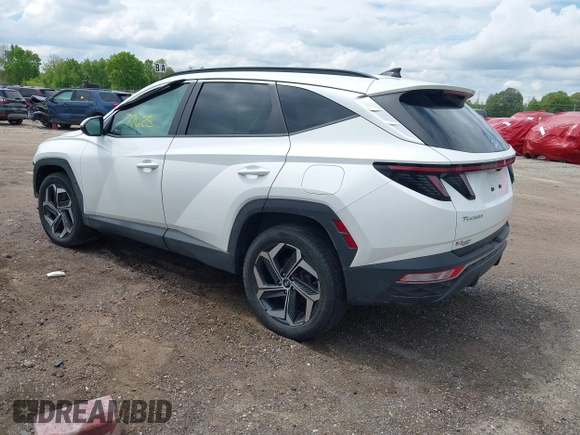 2023 Hyundai Tucson SEL with VIN 5NMJFCAE4PH255890, listed as a IAAI auction lot 42377625 with 42,704 mi miles and . Bid and sale history available at DreamBid. Image 3.