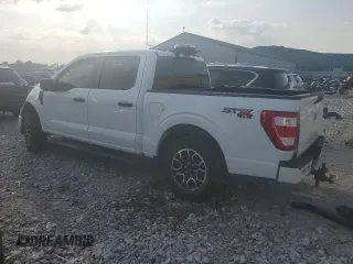 2023 Ford F-150 XL with VIN 1FTFW1E54PFB48680, listed as a Copart auction lot 59205375 with Not provided miles and Salvage title. Bid and sale history available at DreamBid. Image 2.