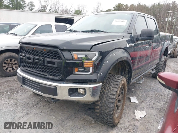 2017 Ford F-150 XL with VIN 1FTEW1EF8HFC36816, listed as a IAAI auction lot 41481007 with 100,828 mi miles. Bid and sale history available at carsss.com. Image 17.