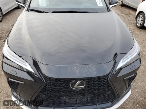 2022 Lexus NX with VIN JTJKKCFZ4N2004779, listed as a Copart auction lot 85951914 with 0 mi miles and Salvage Title. Bid and sale history available at carsss.com. Image 11.