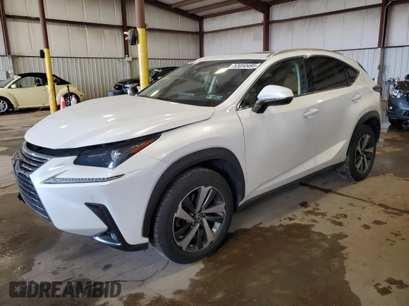 2019 Lexus NX 300 with VIN JTJBARBZ6K2199341, listed as a Copart auction lot 53050495 with 59,786 mi miles and Salvage title. Bid and sale history available at DreamBid. Image 1.