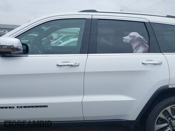 2018 Jeep Grand Cherokee Limited with VIN 1C4RJFBG8JC417240, listed as a IAAI auction lot 42476411 with 77,080 mi miles and . Bid and sale history available at DreamBid. Image 15.