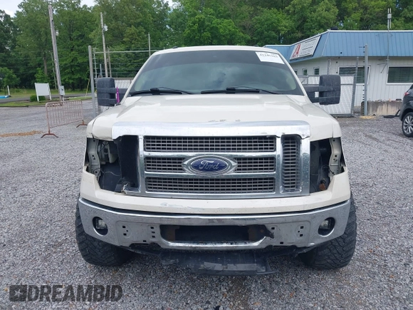 2009 Ford F-150 XL с VIN 1FTPW14VX9KB41670, выставлен на аукционе IAAI как лот 42246163 с пробегом 214 499 миль миль и . История ставок и продаж доступна на DreamBid. Изображение 13.