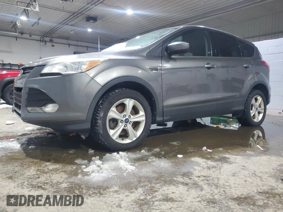 2014 Ford Escape SE with VIN 1FMCU9GX8EUC26579, listed as a Copart auction lot 48147975 with Not Provided miles and Clean Title. Bid and sale history available at DreamBid. Image 1.