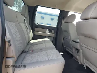 2010 Ford F-150 XL with VIN 1FTEW1E89AFB36912, listed as a Copart auction lot 59979485 with 99,476 mi miles and Salvage title. Bid and sale history available at DreamBid. Image 10.