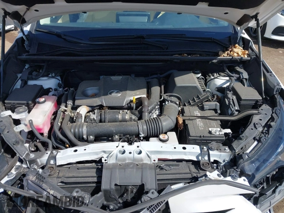 2021 Lexus NX 300 with VIN JTJDARDZXM5021147, listed as a IAAI auction lot 42136647 with 10,597 mi miles and . Bid and sale history available at DreamBid. Image 10.