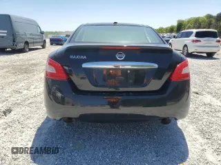 2009 Nissan Maxima SV with VIN 1N4AA51E59C819757, listed as a Copart auction lot 53070385 with 177,688 mi miles and Salvage Title. Bid and sale history available at DreamBid. Image 6.