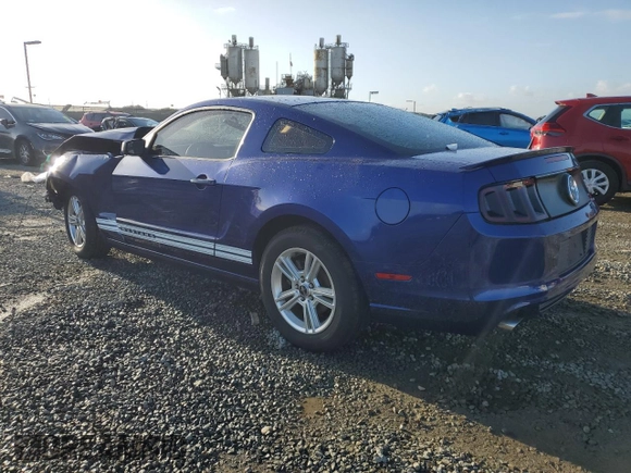 2013 Ford Mustang V6 with VIN 1ZVBP8AM2D5232027, listed as a Copart auction lot 49652665 with Not provided miles and Salvage title. Bid and sale history available at DreamBid. Image 2.