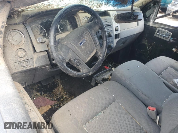 2011 Ford F-150 XL with VIN 1FTFX1ET1BFD12181, listed as a Copart auction lot 58925645 with Not provided miles and Salvage title. Bid and sale history available at DreamBid. Image 8.