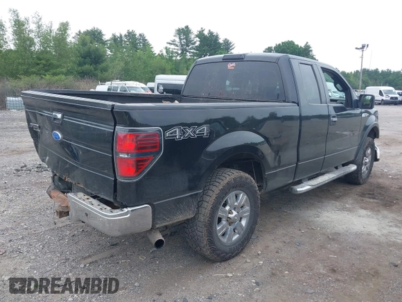 2010 Ford F-150 XL with VIN 1FTEX1E81AFA48403, listed as a IAAI auction lot 42499944 with 215,900 mi miles and . Bid and sale history available at DreamBid. Image 4.