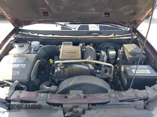 2006 Chevrolet TrailBlazer LS with VIN 1GNDS13S862111494, listed as a IAAI auction lot 42100731 with 234,121 mi miles and . Bid and sale history available at DreamBid. Image 10.