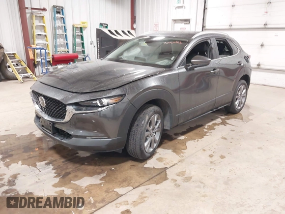 2025 Mazda CX-30 S Preferred with VIN 3MVDMBCM1SM780928, listed as a IAAI auction lot 42060812 with 8,081 mi miles and . Bid and sale history available at DreamBid. Image 17.
