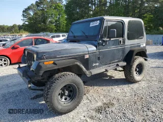 1995 Jeep Wrangler with VIN 1J4FY29S6SP215048, listed as a Copart auction lot 53362435 with 141,643 mi miles and Clean Title. Bid and sale history available at carsss.com. Image 1.