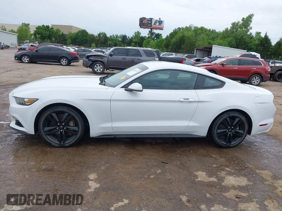 2017 Ford Mustang EcoBoost with VIN 1FA6P8TH5H5219983, listed as a IAAI auction lot 42161797 with 100,423 mi miles and . Bid and sale history available at DreamBid. Image 14.