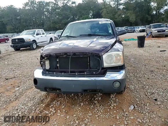 2005 Dodge Dakota SLT with VIN 1D7HE48N95S205605, listed as a Copart auction lot 44113325 with 206,391 mi miles and Salvage Title. Bid and sale history available at DreamBid. Image 10.