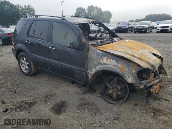 2002 Mercedes-Benz M-Class with VIN 4JGAB75E72A319092, listed as a Copart auction lot 69058864 with 0 mi miles and Salvage Title. Bid and sale history available at carsss.com. Image 4.