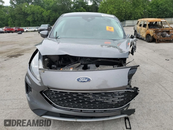 2021 Ford Escape SE with VIN 1FMCU9G68MUA36206, listed as a Copart auction lot 64563505 with Not provided miles and Salvage title. Bid and sale history available at DreamBid. Image 5.