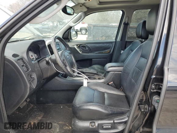 2006 Ford Escape Limited with VIN 1FMCU04196KA18798, listed as a Copart auction lot 50420725 with 113,425 mi miles and Clean title. Bid and sale history available at DreamBid. Image 7.
