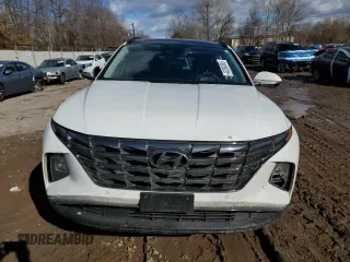 2024 Hyundai Tucson Limited with VIN 5NMJECDE0RH417094, listed as a Copart auction lot 43280385 with 13,927 mi miles and Salvage Title. Bid and sale history available at carsss.com. Image 5.