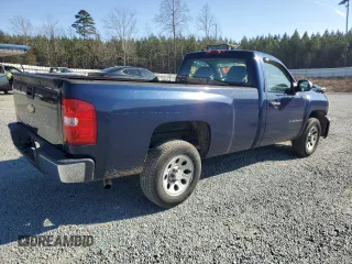 2009 Chevrolet Silverado 1500 Work Truck with VIN 1GCEC14X59Z189974, listed as a Copart auction lot 43809405 with 195,331 mi miles and Salvage Title. Bid and sale history available at DreamBid. Image 3.