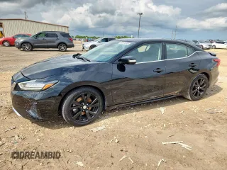 2023 Nissan Maxima SV with VIN 1N4AA6CVXPC509099, listed as a Copart auction lot 60501205 with 47,733 mi miles and Salvage title. Bid and sale history available at DreamBid. Image 1.
