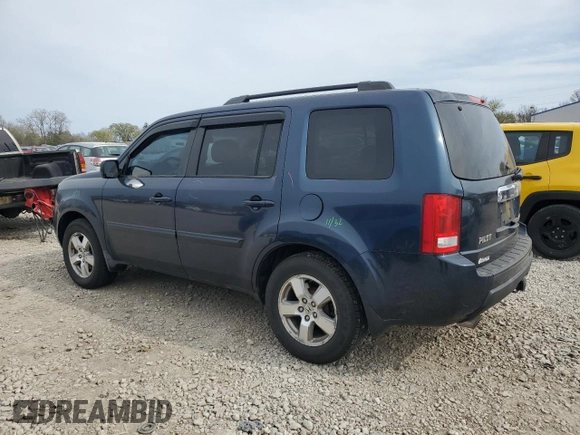 2009 Honda Pilot EX-L with VIN 5FNYF48529B031032, listed as a Copart auction lot 53060365 with 209,608 mi miles and Salvage Title. Bid and sale history available at carsss.com. Image 2.