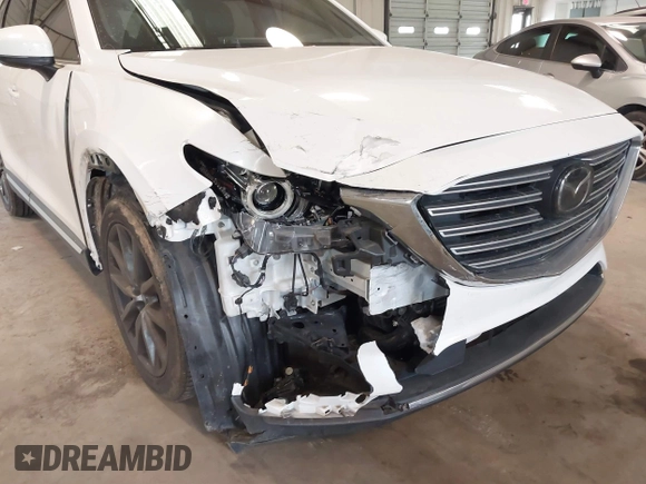 2017 Mazda CX-9 Grand Touring with VIN JM3TCADY5H0132572, listed as a IAAI auction lot 41421008 with 66,656 mi miles and . Bid and sale history available at DreamBid. Image 6.