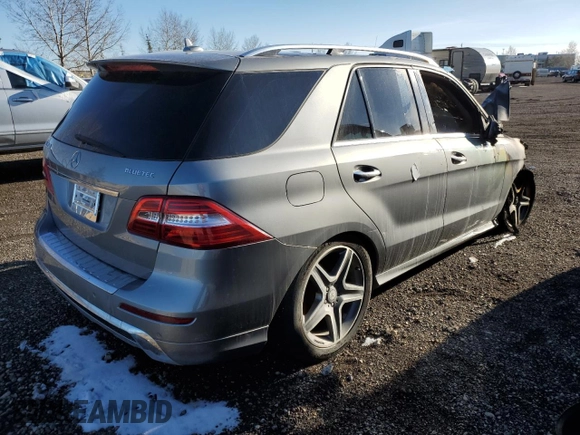 2014 Mercedes-Benz M 350 with VIN 4JGDA2EB9EA316756, listed as a Copart auction lot 46580665 with Not Provided miles and Non Repairable. Bid and sale history available at DreamBid. Image 3.